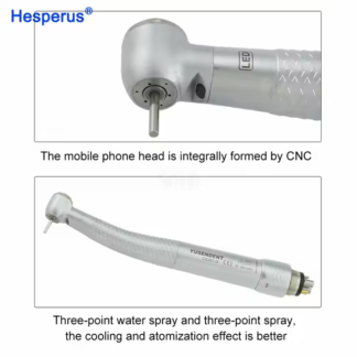 Coxo Electric High-speed Air Turbine Dental Handpiece Fiber Optic 6 Pin Coupler Standard/torque Head Compatible For Kavo For Nsk