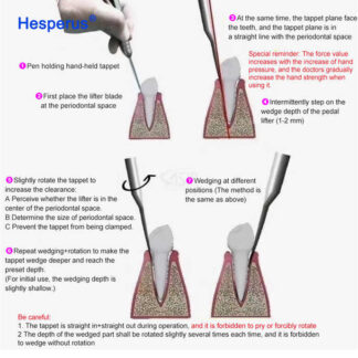 Dental 4 Holes Tooth Extraction Surgery Instruments Turbine Pneumatic Elevator Set Tools With 5 Tips For Dentis Clinic