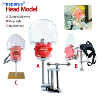 Dentist Training Teaching With Jaw Head Model Dental Phantom Manikin Simulator Typodont