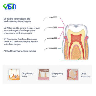 Portable Labcratory Control Dental Scaling Perio Endo Irrigation Vrn Ultrasonic Scaler