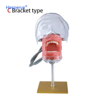 Dental Simulator Phantom Head Equipment Dentist Teaching Training Tools Removable For Cavity Root Treatment And Practice